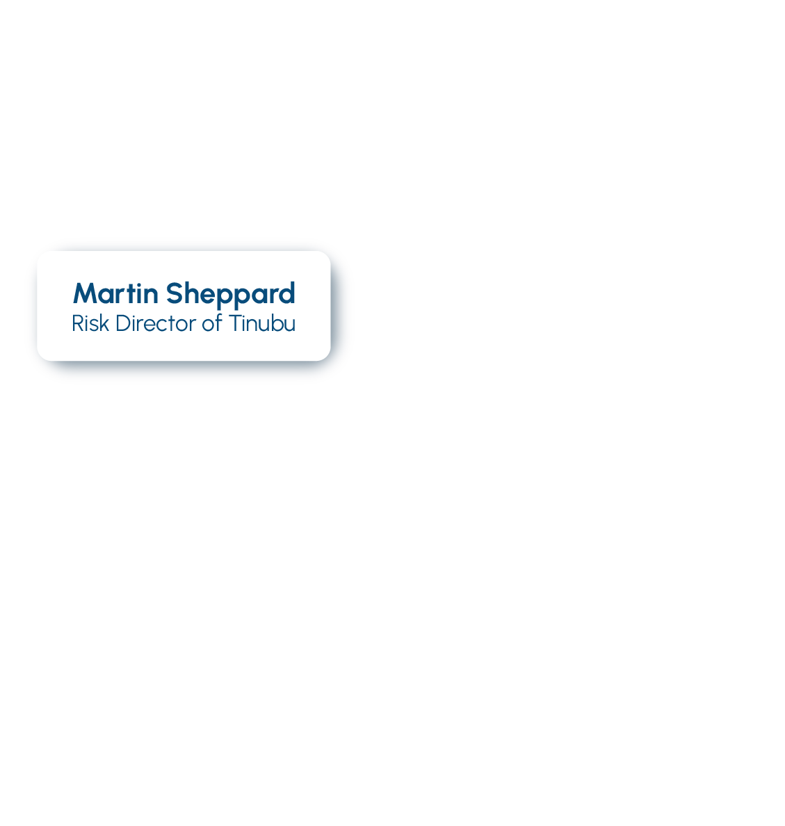 Martin Sheppard Risk Director at Tinubu