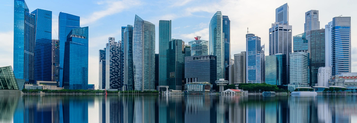 2011 BPI France Singapore