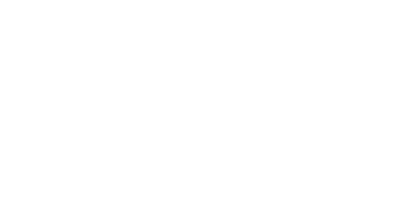 Qlik